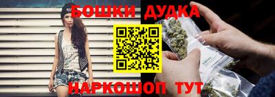 apvp Лесосибирск