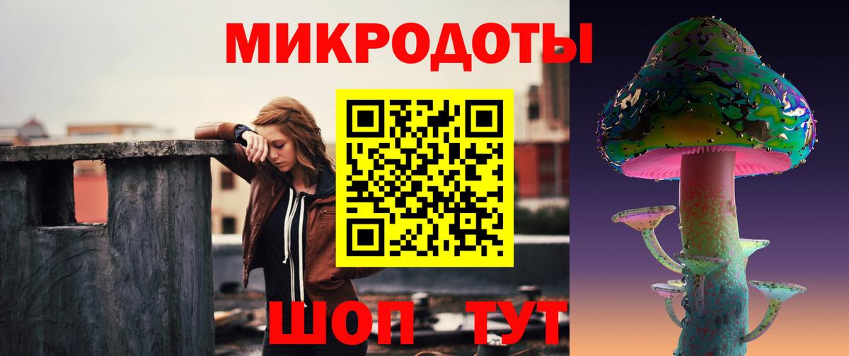 Зеленогорск  Галлюциногенные грибы Cubensis  Вход с VPN 